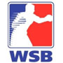 Международные матчевые встречи по правилам Всемирной Серии Бокса (WSB)